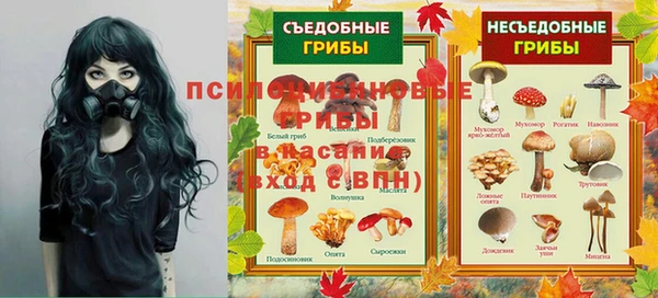 первитин Алексин