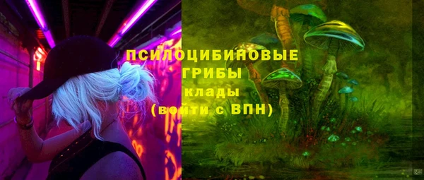 первитин Алексин